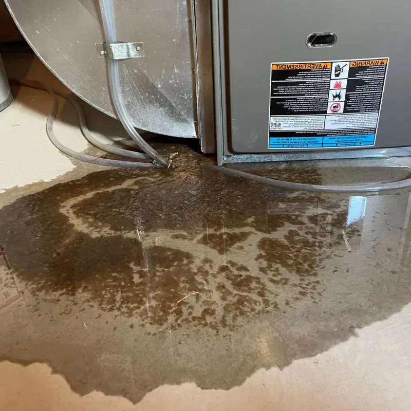 Pipe Burst and Leak Restoration in Mountain Lake Park, MD